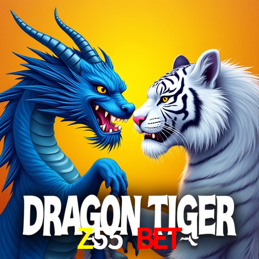 Z55.Com